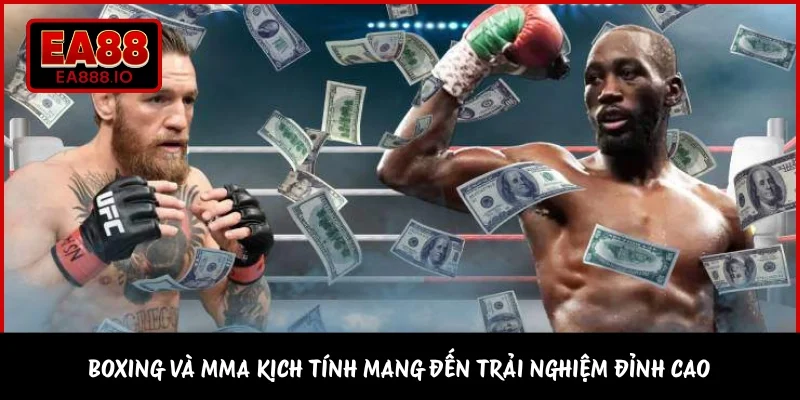 Boxing và MMA kịch tính mang đến trải nghiệm đỉnh cao